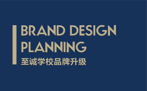 至诚国际学校 专业设计服务，引领未来教育新篇章